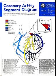 Number of diagonal arteries : Emnote Org The Coronary Artery Segment Diagram From The Facebook