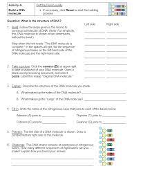 Dna  be sure the hint reads: Solved Activity A Build A Dna Molecule Get The Gizmo Ready If Necessary Click Reset To Start The Building Process Question What Is T Course Hero