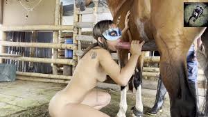 Flaming babe tries horses huge penis in irresistible modes