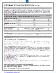 excellent resume format sample