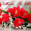 Felicitari de 8 martie, felicitari cu mesaje de 8 martie. Https Encrypted Tbn0 Gstatic Com Images Q Tbn And9gctmhezvadso B Jxh7mukwlr5dgbw1 Gtyinksjzls Usqp Cau