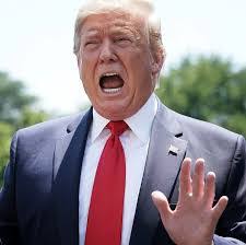 Ruby Webster's Instagram, Twitter & Facebook