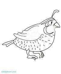 If your child loves interacting. Letter Q Quail Craft Coloring Library