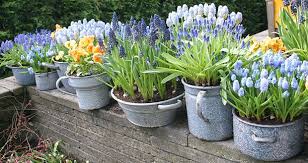12 products per page 24 products per page 36 products per page 48 products per page all. Pin On Gardens Flowers Beauty