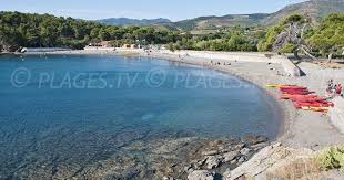 Plage Bernardi Port Vendres 66 Pyrenees Orientales Languedoc Roussillon