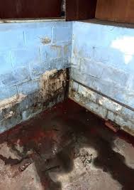 Aquaguard offers a large assortment of basement waterproofing solutions to address your foundation floor and wall cracks provide an opportunity for water to seep into your basement. How Long Does Basement Waterproofing Last Acculevel