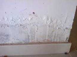 تفسير رؤية نزول الماء من الحائط في المنام لابن سيرين