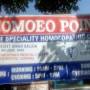 Homeo Point , a complete homoeopathic clinic from www.justdial.com