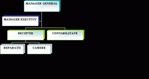 Hotel carpatis srl., unde se va opri expansiunea, este când aceasta va avea o cotă de piață de aproximativ 60% pe plan local. Plan De Afaceri Sc Pescarusul Srl