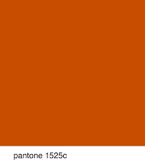 Found 40 paint color chips with a color name of burnt orange sorted by year. Found On Bing From Www Pinterest Com Orange Paint Colors Orange Painted Furniture Burnt Orange Paint