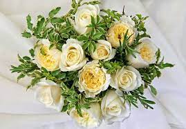 صور زهور وباقات ورد جميلة أجمل ورود الحب ميكساتك flowers photos wallpaper flower decorations orchid flower