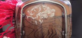 Intense giantess view on thisvid.com