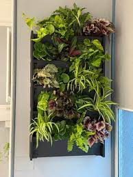 Living herb wall help save space and substantially beautify any balcony, home, or public area in which they are placed. Go Green Go Vertical Living Walls Indoor Outdoor Plant Walls