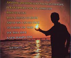 Joe Rogan Inspirational Quote Bjj Jiujitsu Quote Judo Wrestling Mma Martial Arts Grappling Adcc Quote Follow On Inspirational Quotes Life Quotes What Is Like
