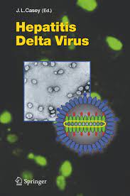 Differential effect of chronic hepatitis d virus infection on intrahepatic hepatitis b viral antigen express. Hepatitis Delta Virus Von John L Casey Isbn 978 3 642 06751 8 Fachbuch Online Kaufen Lehmanns De