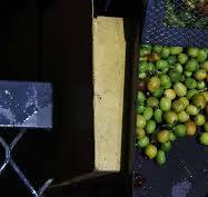 Why cherry sorting is essential to improving coffee quality ...