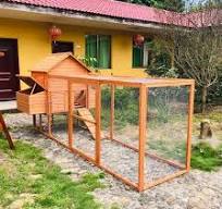 Sdc023XL-01 Basic Customization & Sample Customization New Arrival Large  Wooden Chicken Coop for Laying Hens