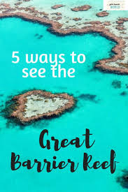 How To Visit The Great Barrier Reef 5 Queensland Holiday Ideas Travel Destinations Australia Australia Travel Great Barrier Reef