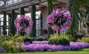 Local Find Longwood Gardens Groupon Save 50 Cha Ching On A Shoestring Longwood Gardens Garden Visits Longwood Gardens Spring