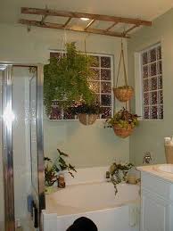 Olive And Love Plants Hanging From Ladder Hang Plants From Ceiling Bedroom Plants Bathroom Plants