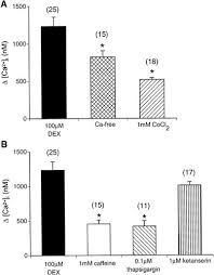 Image result for Dexfenfluramine