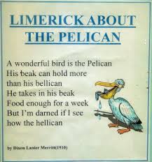 History Of Fun Limericks Bruce Littlefield 39 S Life 101 Funny Poems For Kids Limerick Funny Short Irish Sayings