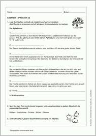 Daneben erbringt es hohe korrelationswerte zu den bestehenden. Lesetest Klasse 4 Pdf Wochenplan Mathe Klasse 4 Pdf Ab 9 J 80 S Mit Dem Lesetest Kann Die Lesefahigkeit Eines Kindes Ermittelt Werden Abdul Dunkley