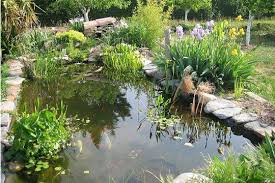 Jardin Deco Jardin Les Plus Beaux Bassins Jardin D Eau Jardins Deco Jardin