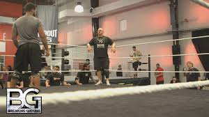 Image result for Breaking ground wwe
