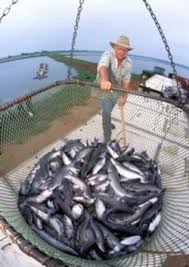 We did really well and had a. Aquaculture Water Use