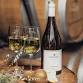 Artemis Wines — Tayvin Martins event image