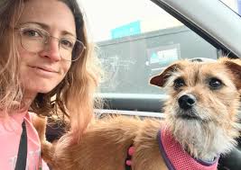 Hound Town Apollo Bay, Victoria 🏡 A mish mash of the cute beach houses  scattered throughout Apollo Bay 🧩 I turned this one into an Artist A3 size  180 piece puzzle -