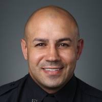 70+ "(schott)" profiles