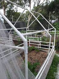 Net clamp pack of 10. Netting Fruit Trees And Berries For Pest Control Deep Green Permaculture