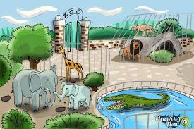 how to draw a zoo