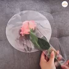 They're called balloon flowers, probably because they start as little green buds, then swell up and turn whiter and whiter until they finally pop open into blossom! Led Luminous Balloon Rose Bouquet Madeofrose