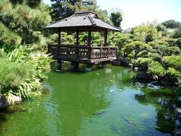 My goal is to come here during different seasons and times and see what changes. Hayward Japanese Gardens Picture Of Hayward Japanese Gardens Tripadvisor
