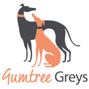 The victorian government recently approved changes to the greyhound muzzling laws and effective 1 january 2019, greyhound pet owners can choose to have their greyhounds muzzle free in public. Gumtree Greys Greyhound Rescue