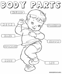 Pin On Preschool