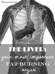 Pin On Butter Nutrition