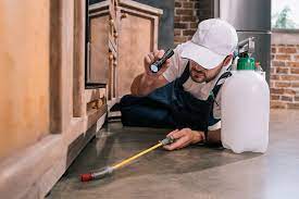 Compare the best los angeles pest control companies for bed bugs, termites, rats and more. 5 Best Pest Control Companies In Los Angeles Top Pest Control