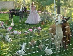 Animal Shows Rides Petting Zoo Birthday Petting Zoo Birthday Party Petting Zoo Party