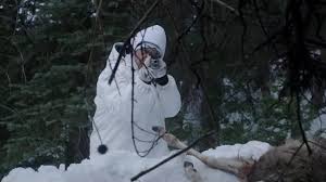 Résultat de recherche d'images pour "wind river film"