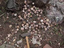 How To Find Geodes The Ultimate Guide Fun Facts About Geodes Rock Seeker Geode Rocks Rocks And Minerals Rock Identification