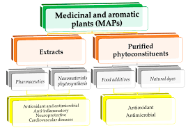 Outras partes envolvidas no processo são ana renata lima leandro, banco do brasil s a, unus engenharia ltda, valter leandro da silva filho. Ijms Free Full Text Selected Aspects Related To Medicinal And Aromatic Plants As Alternative Sources Of Bioactive Compounds Html