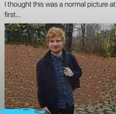 Let's make memes to distract ourselves from how many calories we just ate. Best 30 Ed Sheeran Fun On 9gag