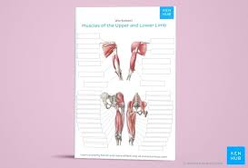 V bones of the skeletal system v food through digestive system v blood through the muscles are always attached at two or more places. Full Body Muscular Diagram Pdf Meet Body Dance Anatomy Worksheets Pdf Sumnermuseumdc Org There Are Around 650 Skeletal Muscles Within The Typical Human Body Jeroen Kol