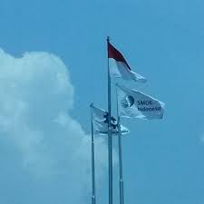 We did not find results for: Photos At Pt Smoe Indonesia