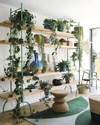 3 366 Likes 38 Comments Elle Decoration Uk Elledecorationuk On Instagram Plants Are An Instant Relativel Elle Decor Furniture Design Inspiration Decor