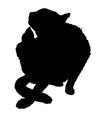 Download Svg Cute Cat Animal Eyes Free Svg Image Icon Svg Silh